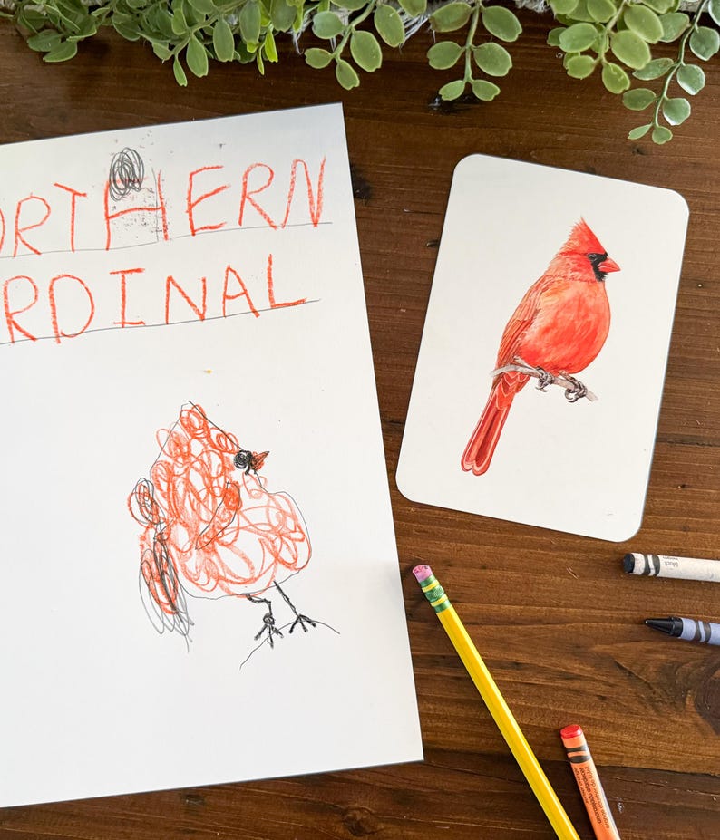 K&ouml;nnte beinhalten: Eine Zeichnung eines Kardinals, mit den Worten "Northern Cardinal" dar&uuml;ber geschrieben. Eine separate Karte zeigt eine realistische Illustration eines roten Kardinals.