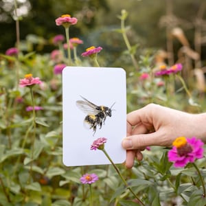 Garden Alphabet Cards | ABC Learning Flash Cards | Homeschool Nature Table | Educational Cards | Child Gift Idea | Preschool Flashcards