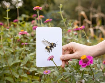 Garden Alphabet Cards | ABC Learning Flash Cards | Homeschool Nature Table | Educational Cards | Child Gift Idea | Preschool Flashcards