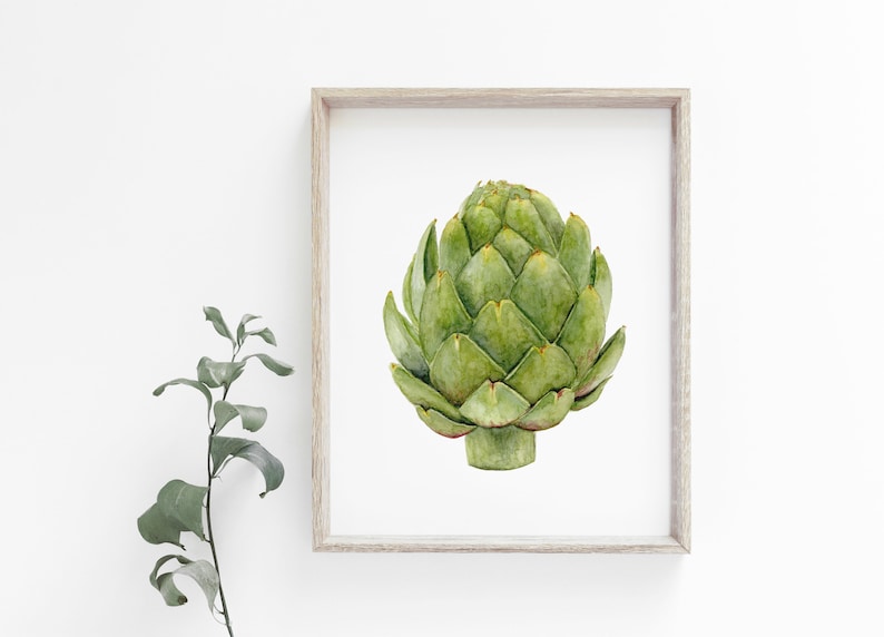 Op de afbeelding: Een aquarel van een artisjok, een groene groente met een stekelige textuur, in een eenvoudige witte lijst.