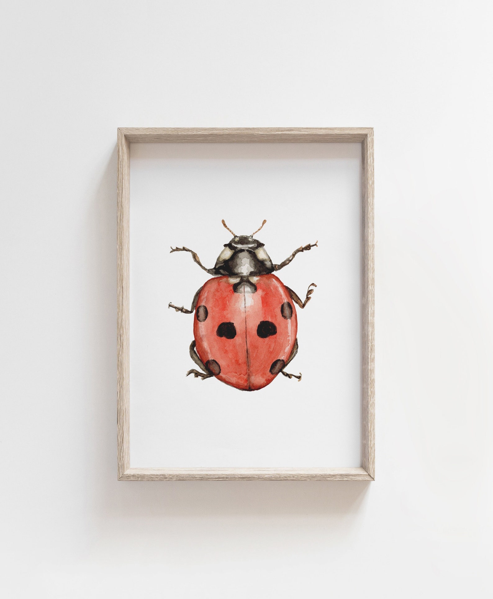Ladybug Watercolor Print | Garden Wall Art | Nursery Decor | Kids Room ...