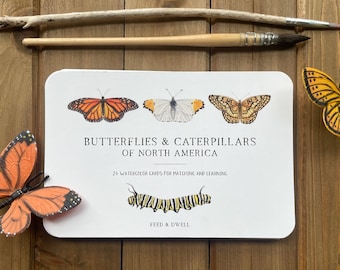 Butterfly and Caterpillar Learning Cards | Montessori Insect Flashcards | Homeschool Nature Table | Educational Cards | Child Gift Idea