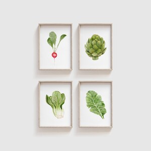 Op de afbeelding: Vier ingelijste aquarel-illustraties van groenten. De linkerbovenste lijst toont een rode radijs met groene bladeren. De rechterbovenste lijst toont een groene artisjok. De linkeronderste lijst toont een groene paksoi. De rechteronderste lijst toont een groen boerenkoolblad.