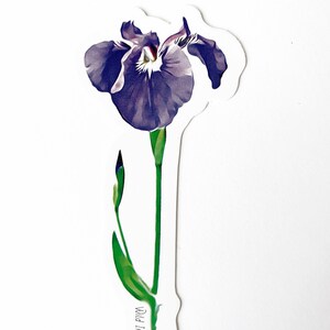 Pegatina de vinilo de iris salvaje