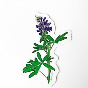 Arctische lupine vinylsticker