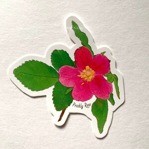 Prickly Rose Sticker