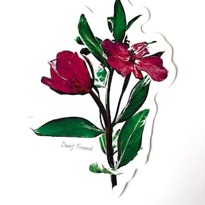 Autocollant de fleurs sauvages d’épilobe nain