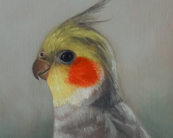 Étude originale de peinture à l'huile d'oiseau calopsitte
