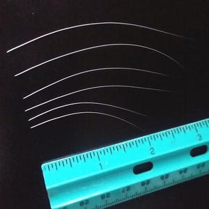 Real Cat Whiskers Sold in Pairs 1.25&quot; - 3.5&quot;, Naturally Shed Whiskers for Crafts, Animal Dolls, Art, Masks, Cardmaking, Costumes, Felting