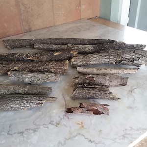 Curled Tree Bark 12 Pieces, Natural Bark for Arts and Crafts, Terrariums and Aquariums, Fairy Gardens, DIY Nature Supplies