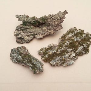Mossy Tree Bark 3 Pieces, Terrarium Bark, Nature Art, Fairy Gardens, Mounting Air Plants, Nature Craft Supply
