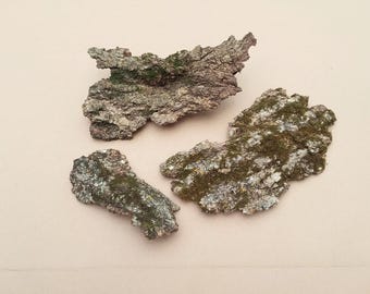 Mossy Tree Bark 3 Pieces, Terrarium Bark, Nature Art, Fairy Gardens, Mounting Air Plants, Nature Craft Supply
