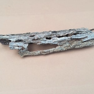 Natural Tree Branch Bark, Nature Art, Terrarium Bark, Fairy Gardens, Mounting Air Plants, Nature Craft Supply