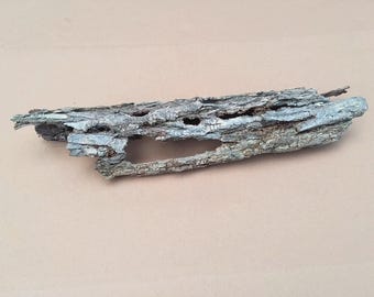 Natural Tree Branch Bark for Terrariums, Vivariums, Fairy Gardens, Mounting Air Plants, Nature Crafts