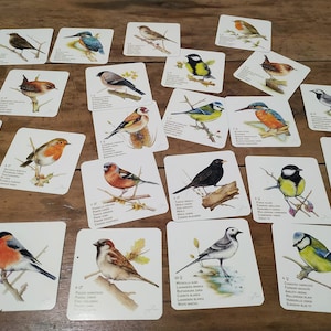 Pájaros I & II Pack con ambos juegos image 4