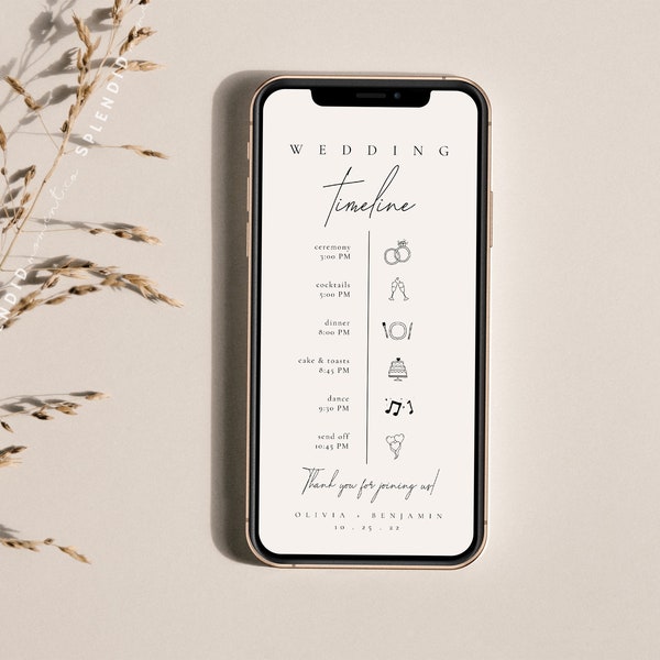 Virtual Wedding Timeline Template, Mobile Wedding Timeline, Wedding Planner Timeline, Modern Wedding Timeline, Electronic Timeline - Kyra