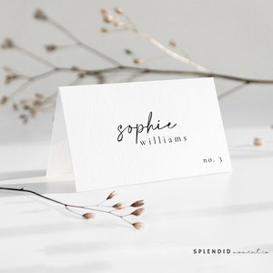 Modern Place Cards Template, Printable Wedding Place Cards, Editable Name Cards Printable Escort Cards Template Celine image 3