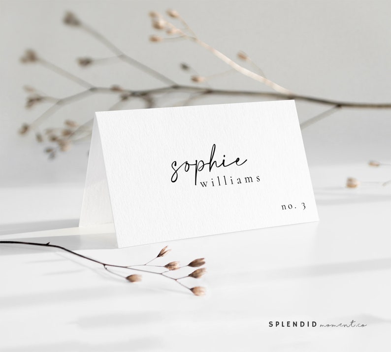 Modern Place Cards Template, Printable Wedding Place Cards, Editable Name Cards Printable Escort Cards Template Celine image 3