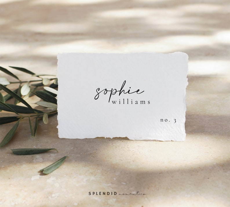 Modern Place Cards Template, Printable Wedding Place Cards, Editable Name Cards Printable Escort Cards Template Celine image 4