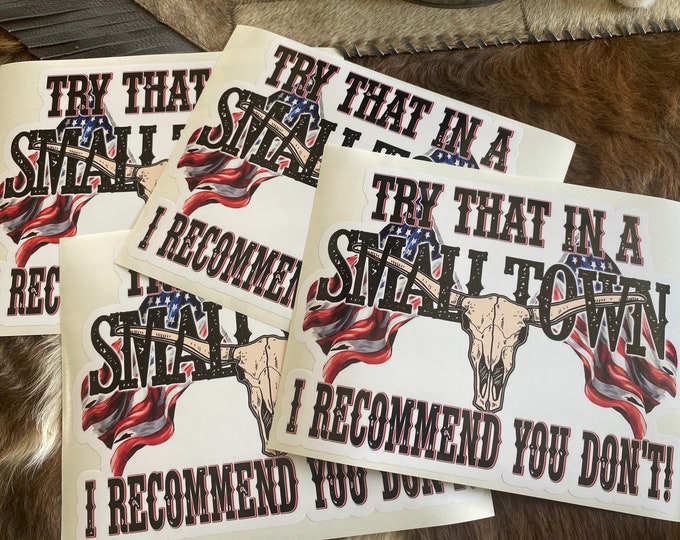 Truck decal/stickers/gifts/vinyl decal/funny sticker/car stickers/try that in a small town/I recommend you don’t