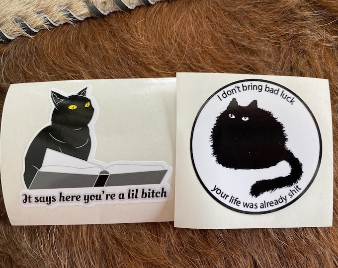 Cat stickers/cute cats/funny/fluff you/offensive stickers/gifts/sticker pack/gifts/cute stickers/vinyl stickers/stickers/
