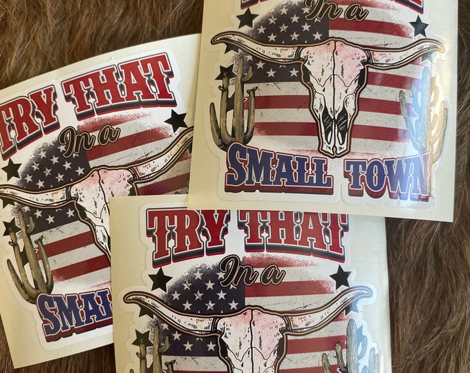 Truck decal/stickers/gifts/vinyl decal/funny sticker/car stickers/try that in a small town/I recommend you don’t/cow skull/flag