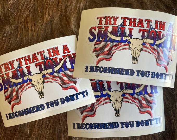 Truck decal/stickers/gifts/vinyl decal/funny sticker/car stickers/try that in a small town/I recommend you don’t/cow skull/flag