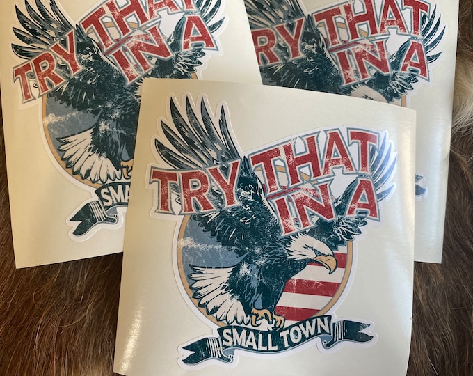 Truck decal/stickers/gifts/vinyl decal/funny sticker/car stickers/try that in a small town/I recommend you don’t/Eagle/flag