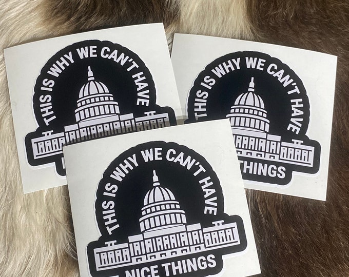 Stickers/White House/this is why we can’t have nice things/hard hat sticker/vinyl sticker/decal/funny stickers/car decal/