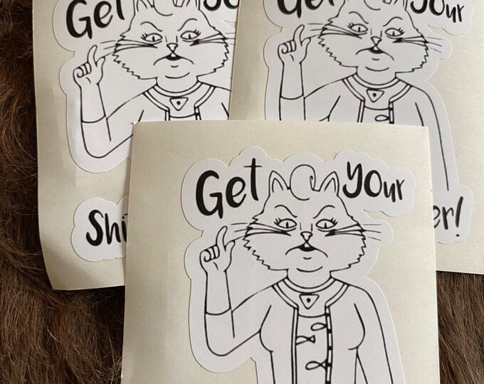 Cat sticker/get your shit together/funny stickers/gifts/decal/laptop sticker/humor/cat/vinyl sticker/custom stickers