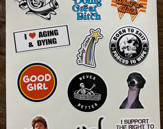 Hard hat/sticker pack/gifts/blue collar/cat/laptop stickers/shake and bake/stickers/snail/turbo/joe dirt/good girl/arm bears