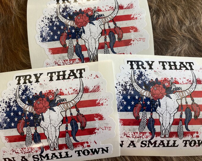 Truck decal/stickers/gifts/vinyl decal/funny sticker/car stickers/try that in a small town/I recommend you don’t/cow skull/flag