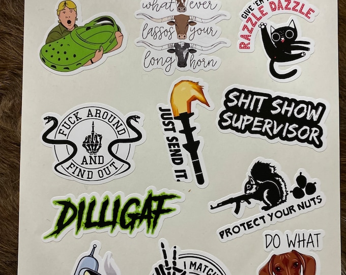 Hard hat/sticker pack/gifts/blue collar/send it/laptop stickers/vinyl stickers/stickers/longhorn/Fafo/dilligaf