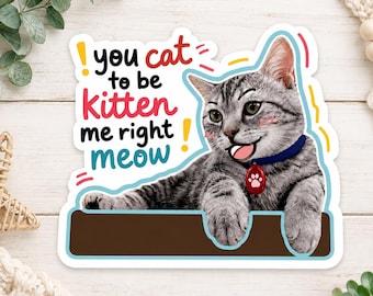 Pegatina de gato: You Cat to Be Kitten Me Right Meow Pun Vinilo Calcomanía
