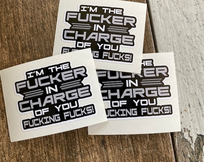 I’m the fucker in charge of you fucking fucks/sticker/funny/hard hat stickers/vinyl sticker