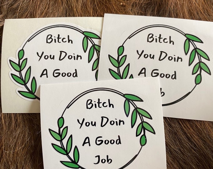 Bitch you doin a good job /sticker/funny/humor/vinyl stickers/decals/custom/funny stickers/gifts/bitch/good job/hilarious stickers