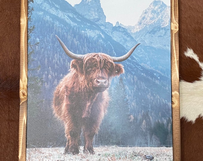 Highland cow canvas/picture/wall hanging/cow/gifts/gifts for her/bill/sign/rustic sign