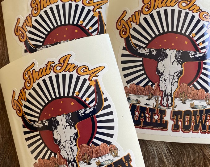 Truck decal/stickers/gifts/vinyl decal/funny sticker/car stickers/try that in a small town/I recommend you don’t/cow skull/
