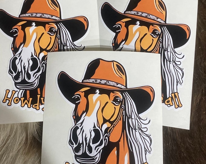 Custom vinyl stickers/gifts/howdy yall/country/pony/horse/country/cute stickers/decals/stickers/funny/vinyl/cowboy hat/