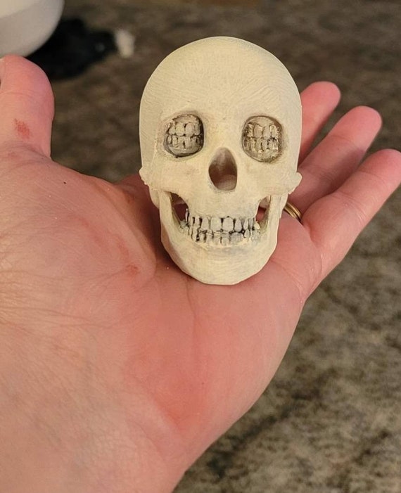 Nightmare Skull With Teeth for Eyes - Etsy