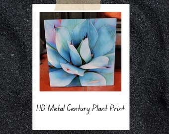 Metal Art Print Colorful Pale Blue and Pink Century Plant Agave Cactus on Metal