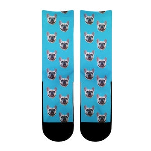 dog socks for sale