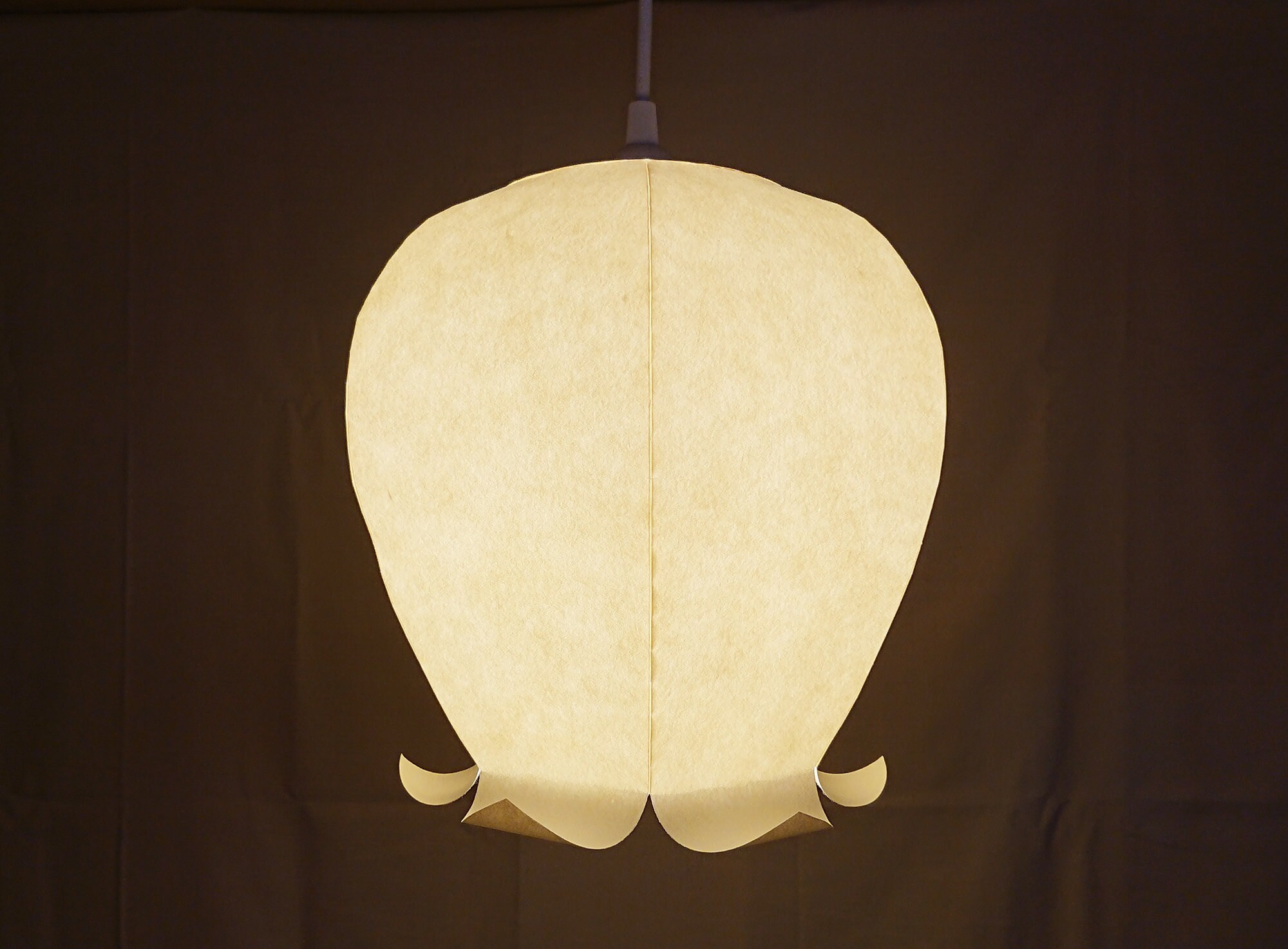 Japanese paper pendant on sale lights
