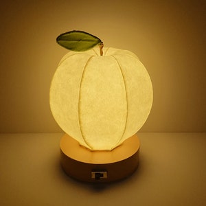 Apple type Japanese paper shade night lamp image 2