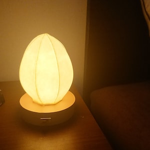 Egg type Japanese paper shade night lamp