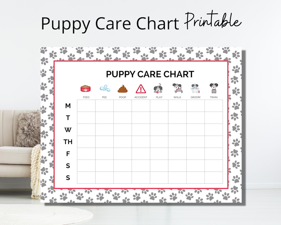 Printable Puppy Potty Training Schedule Chart Printable Puppy Potty Training Schedule Chart