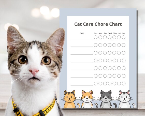 Fillable Cat Chore Chart Printable Editable Kitten Chore | Etsy