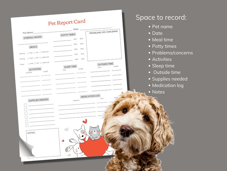 Printable Pet Report Card Fillable Template For Dog Sitters Etsy Finland