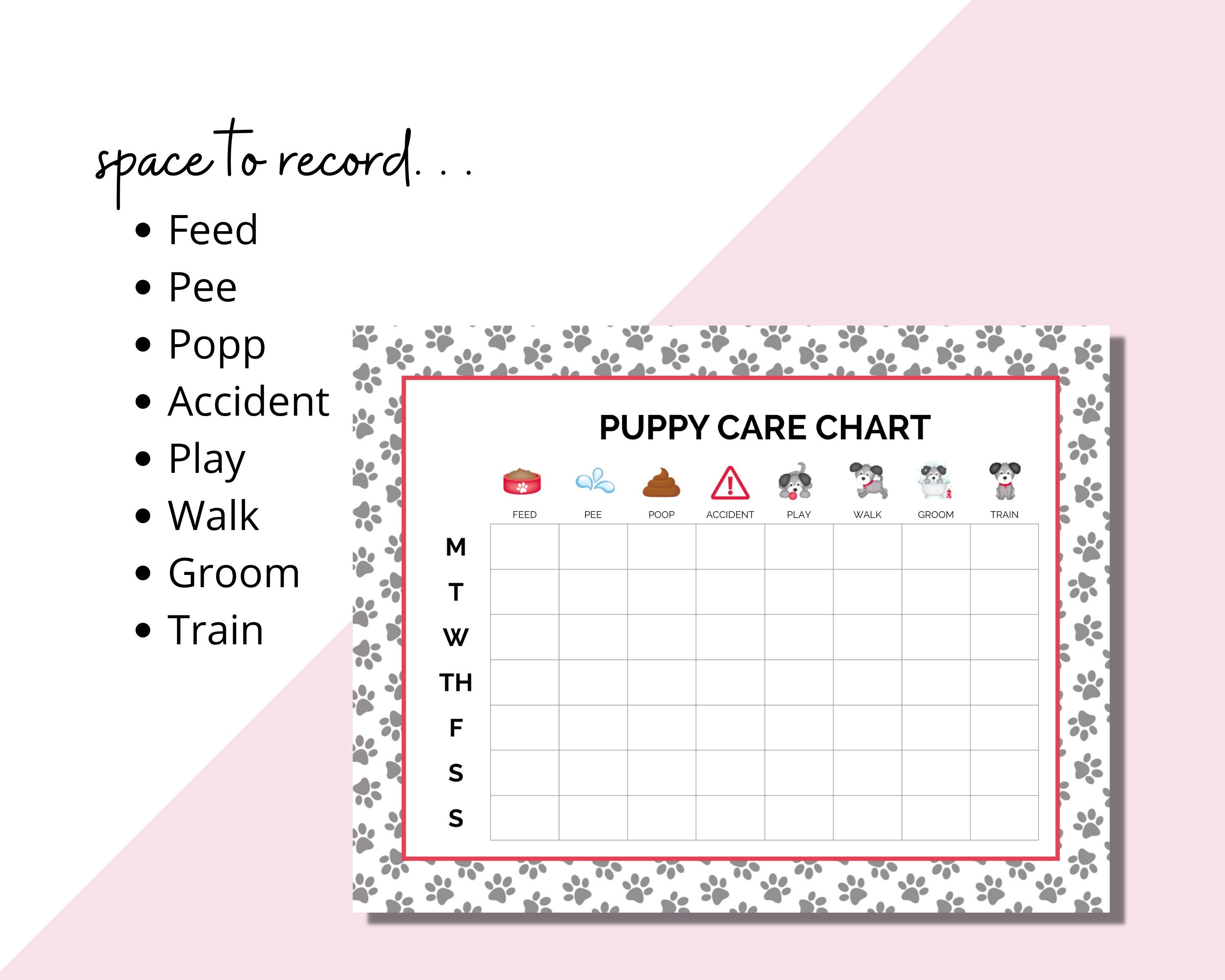 Puppy Training Schedule Printable Puppy Potty Training