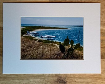 Photo from Dry Tortugas National Park